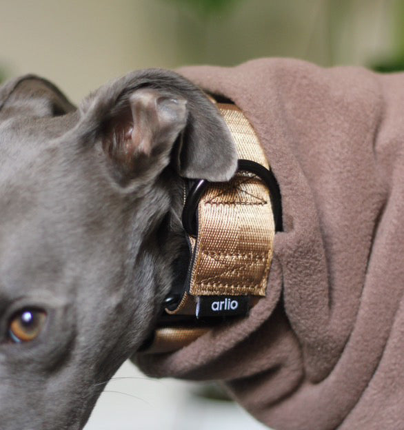 Martingale Collar Bronze