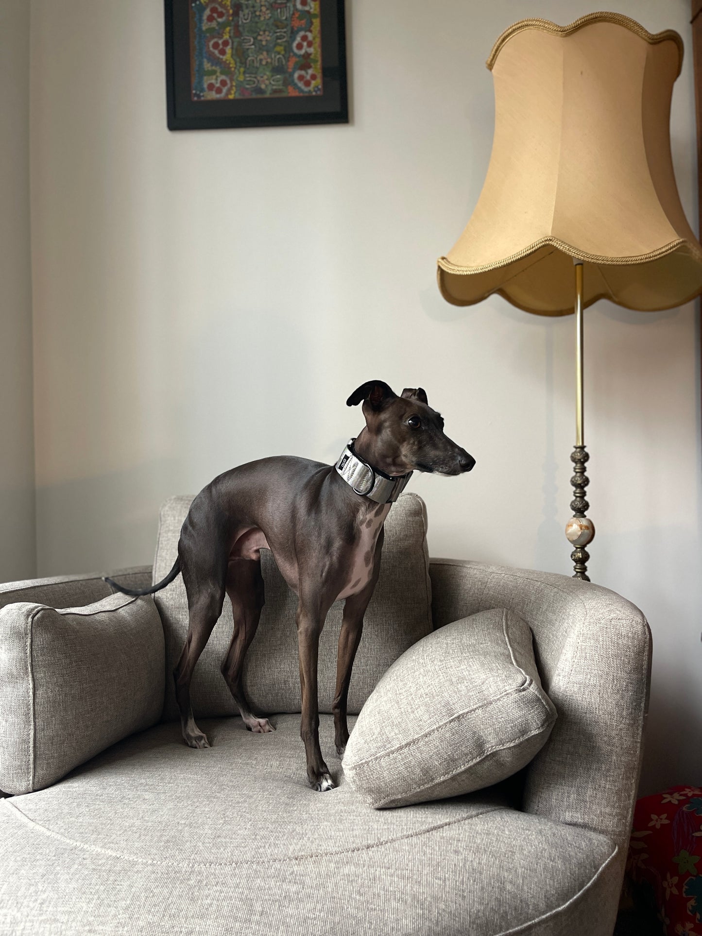 Martingale Collar Silver