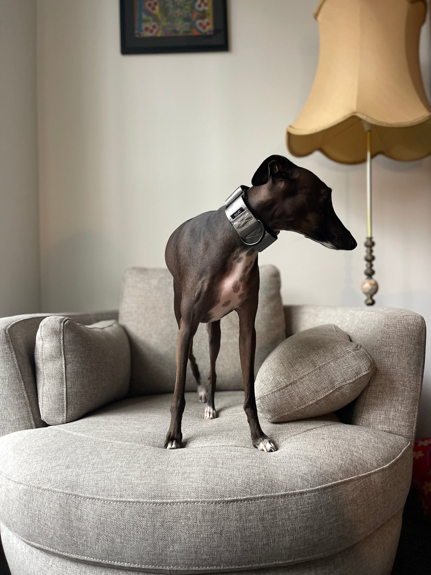 Martingale Collar Silver
