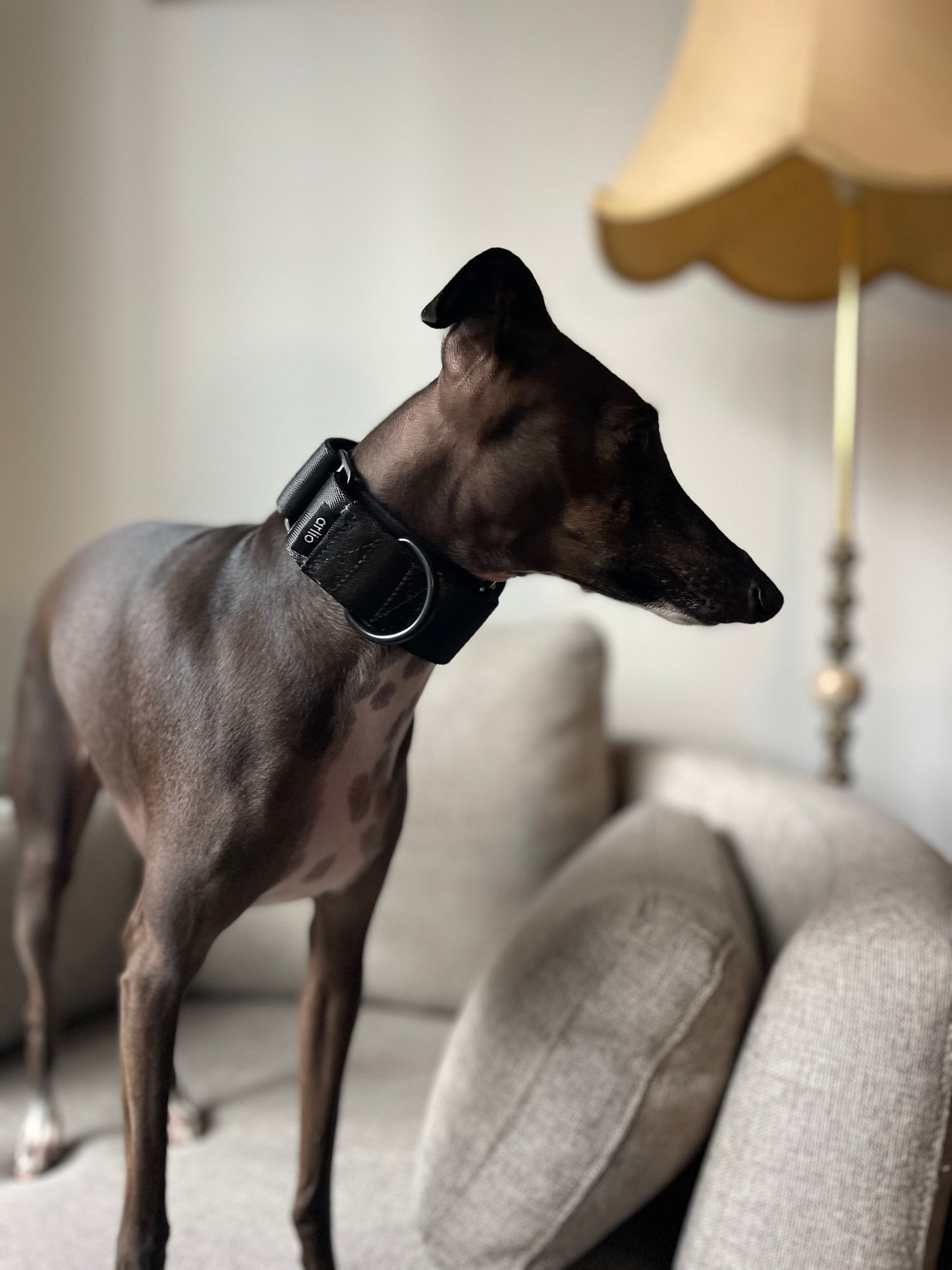 Martingale Collar Black
