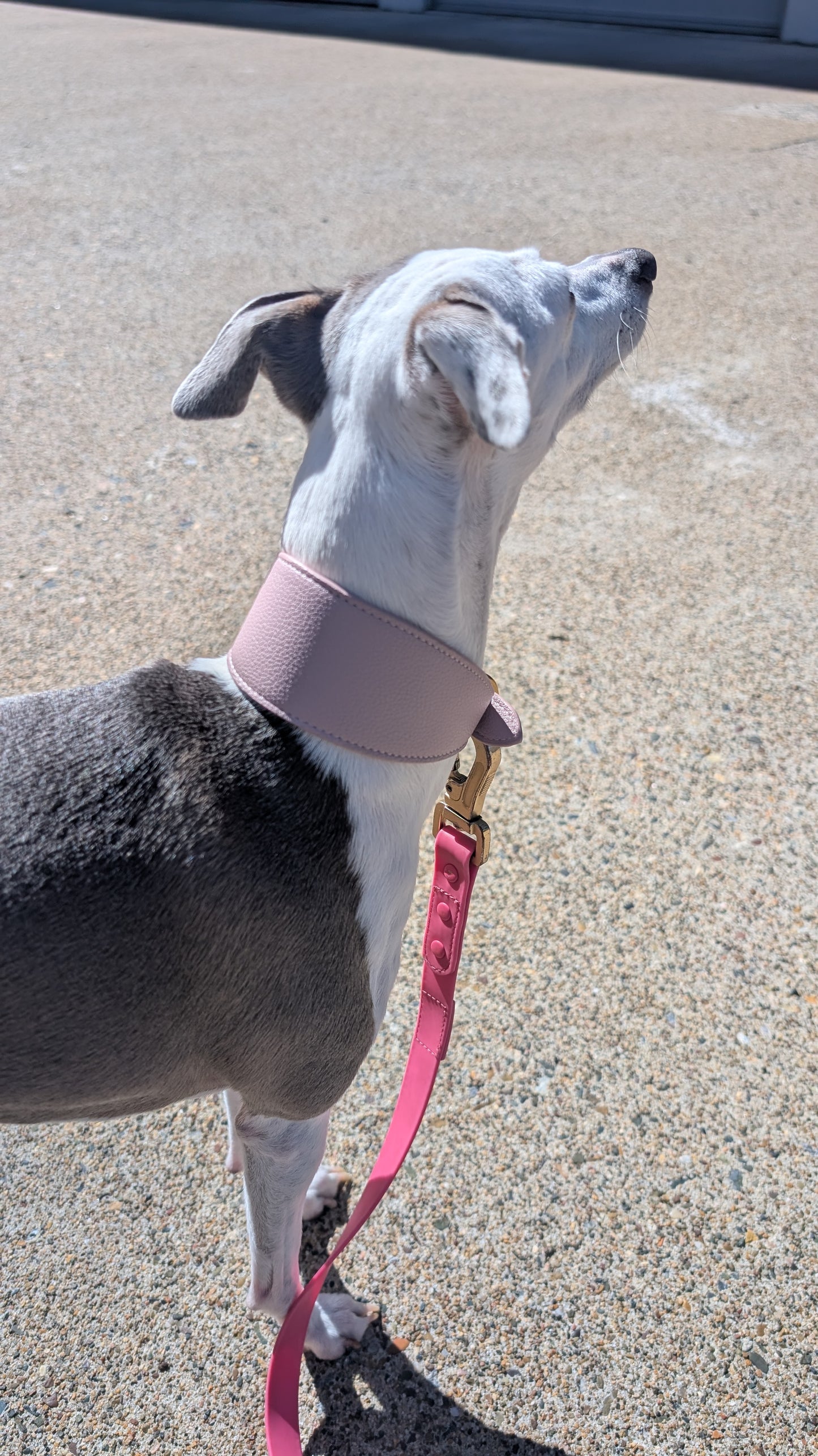 Leather Collar Dusty Pink