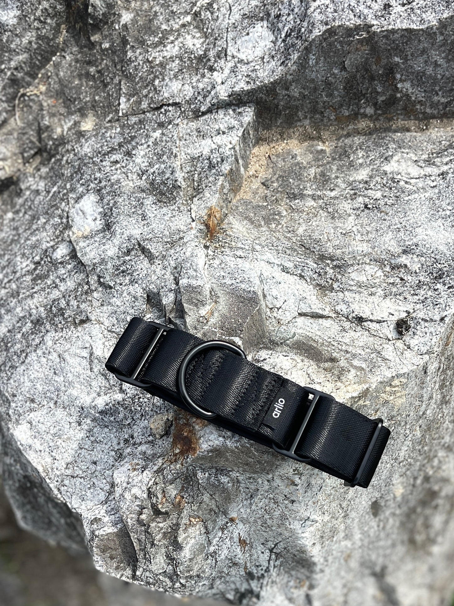 Martingale Collar Black