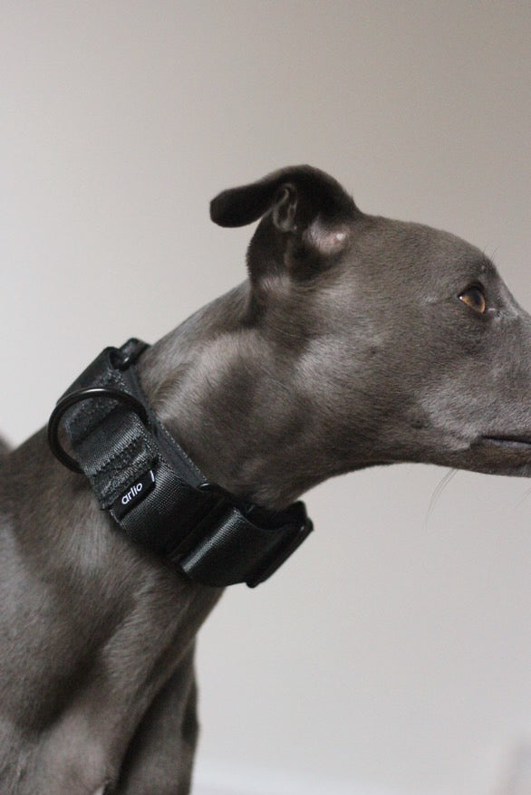 Martingale Collar Black