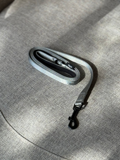 Lead Silver