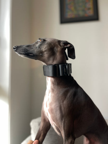 Martingale Collar Black