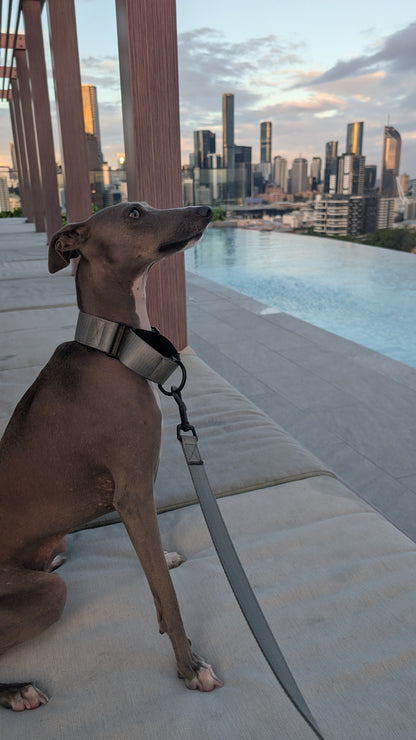 Martingale Collar Silver