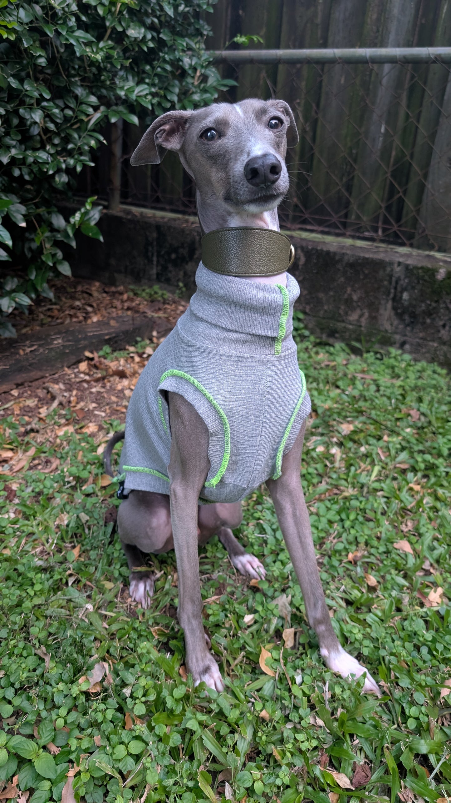 Leather Collar Olive Green
