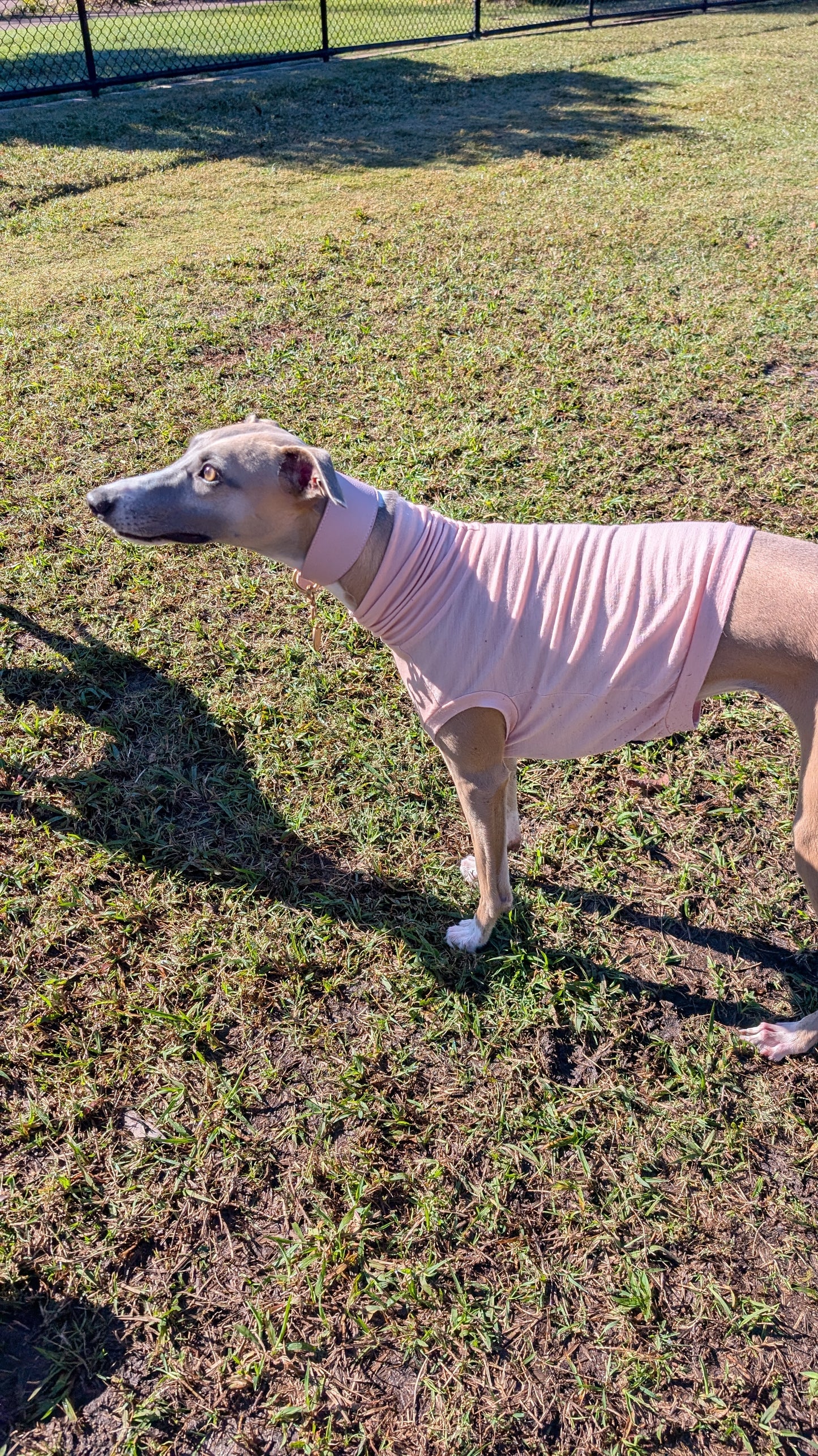 Leather Collar Dusty Pink