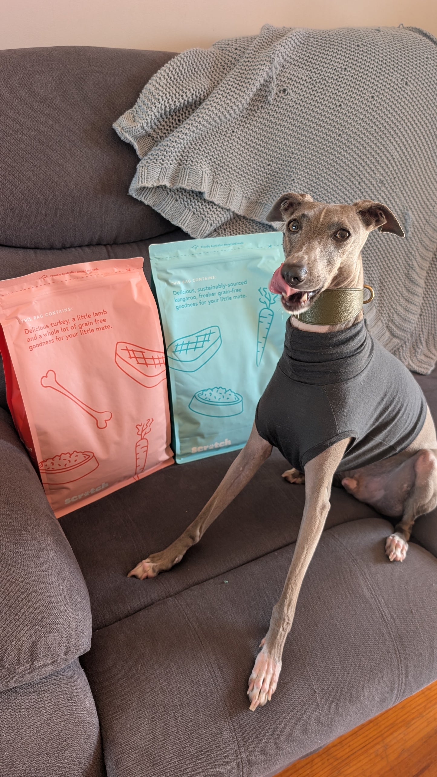 Leather Collar Olive Green