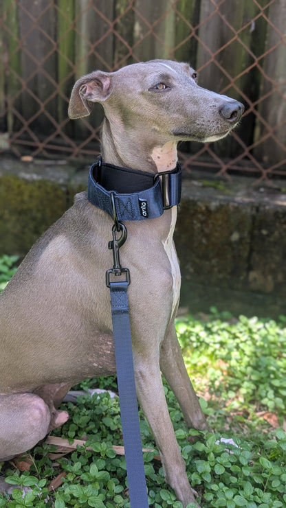 Martingale Collar Navy