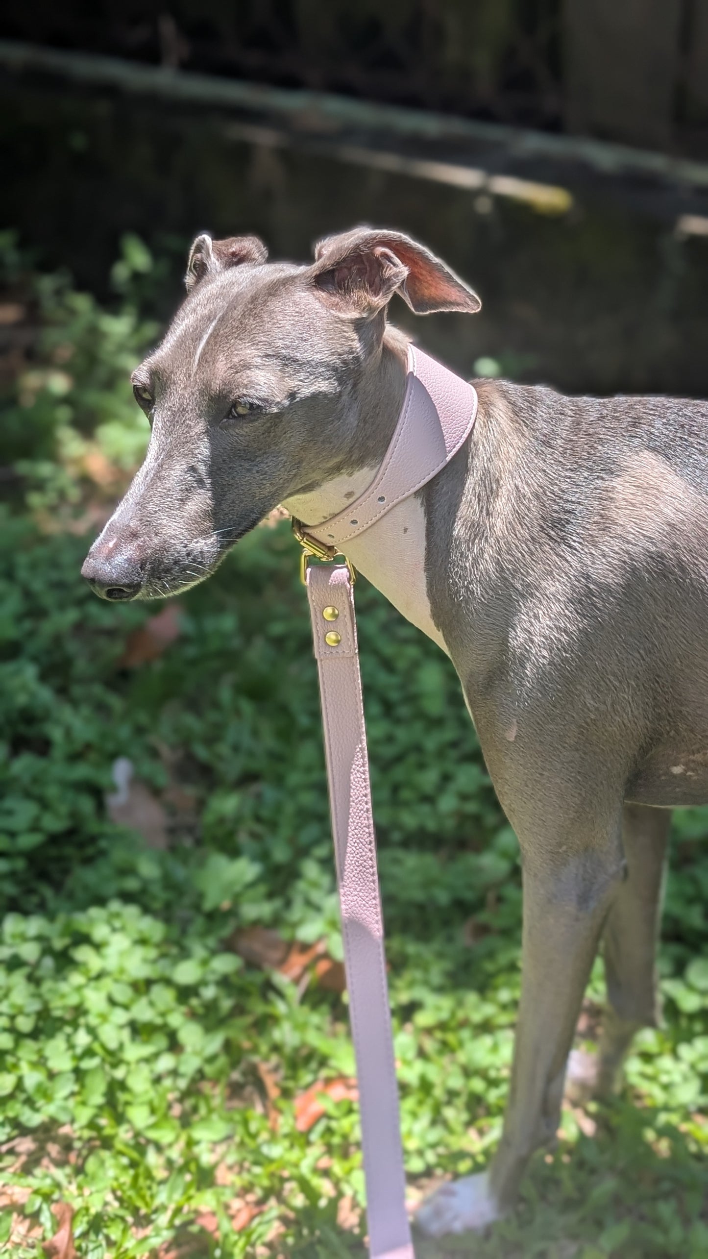 Leather Collar Dusty Pink