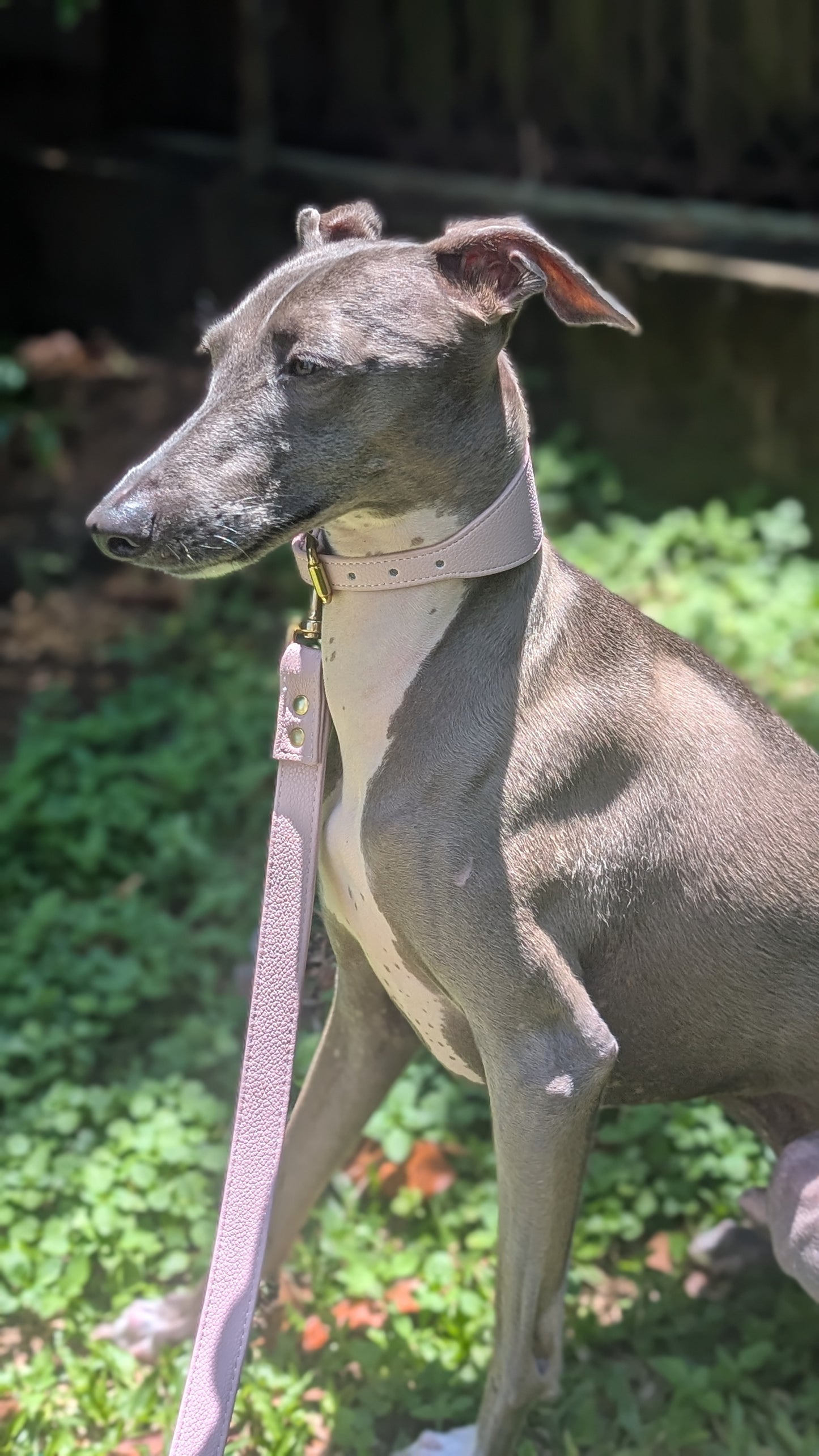 Leather Lead Dusty Pink