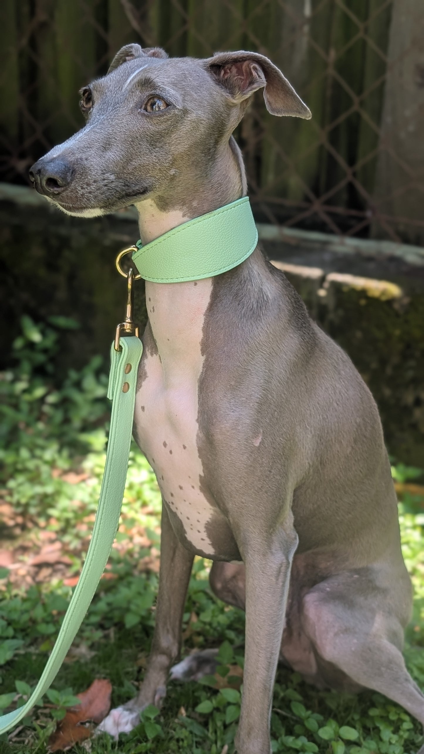 Leather Lead Fresh Mint