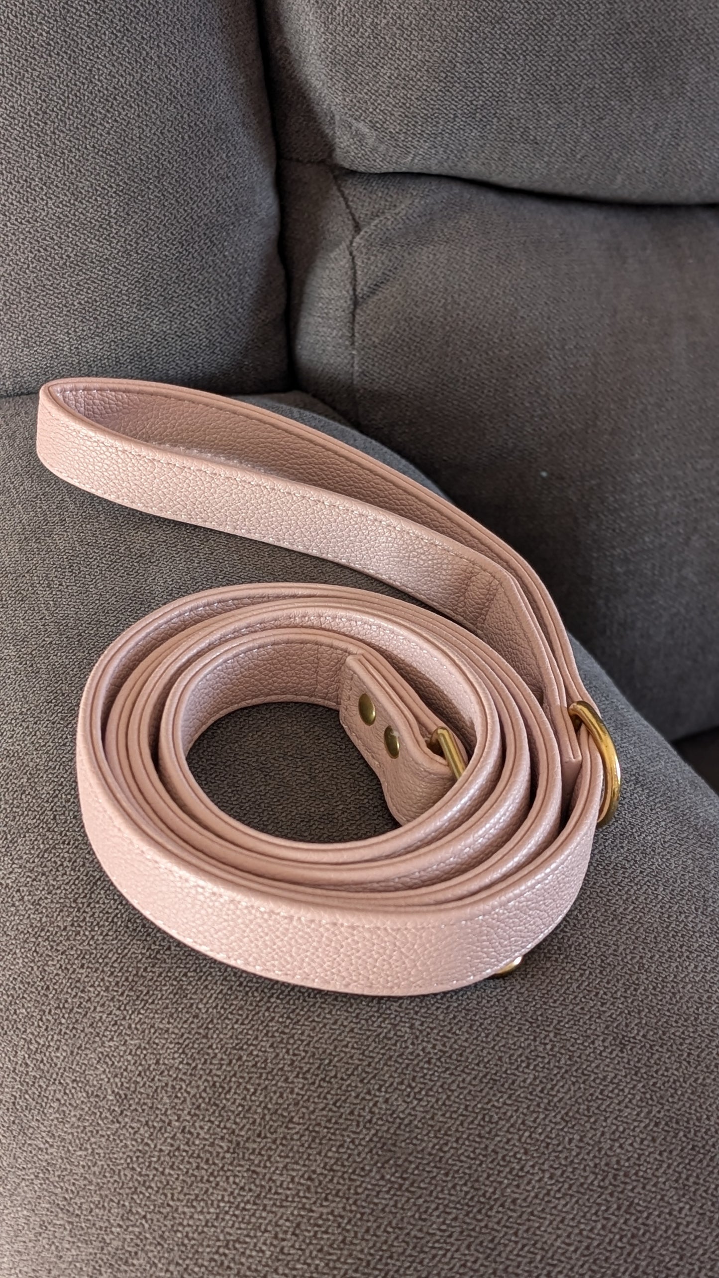 Leather Lead Dusty Pink