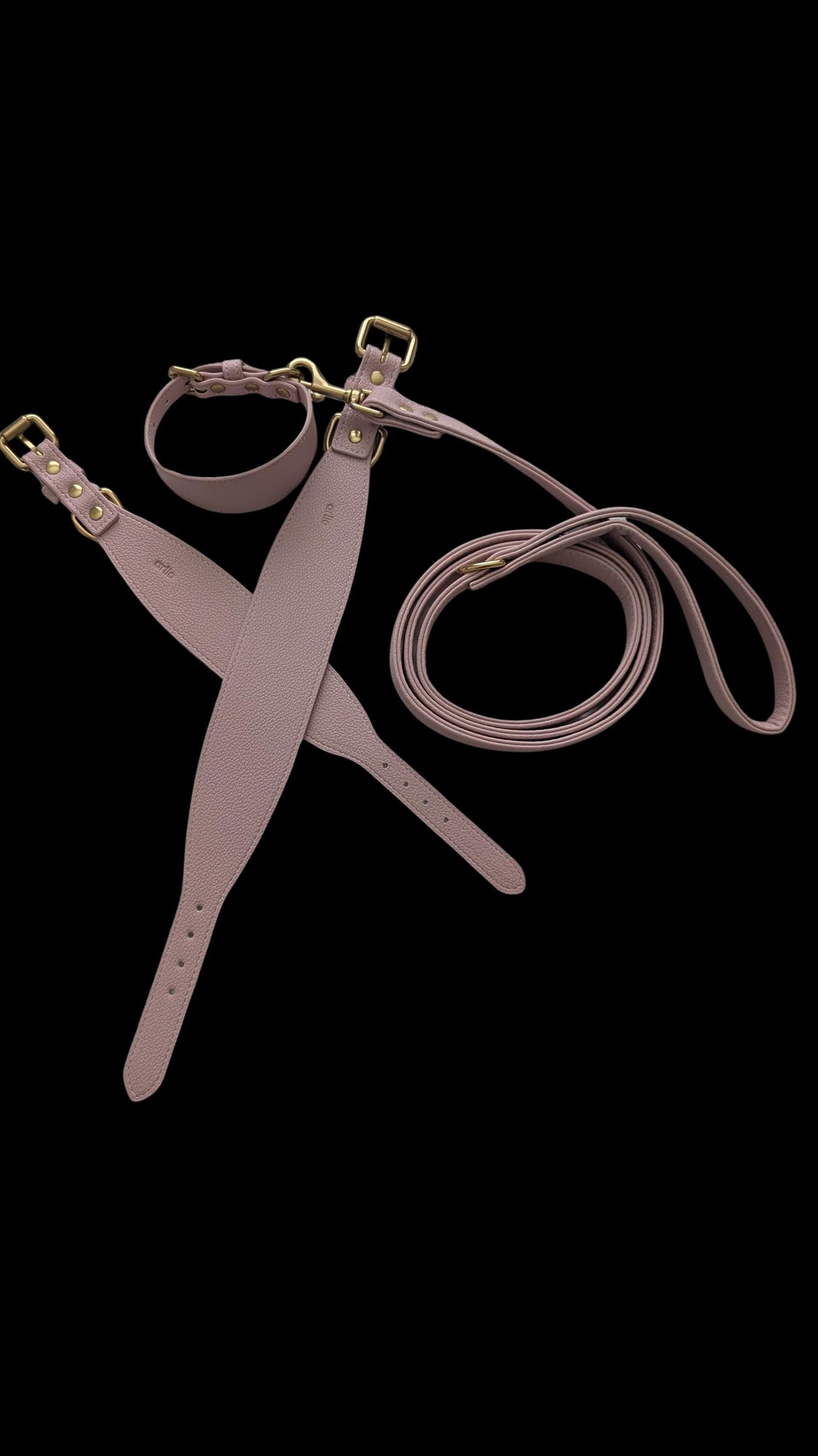 Leather Lead Dusty Pink