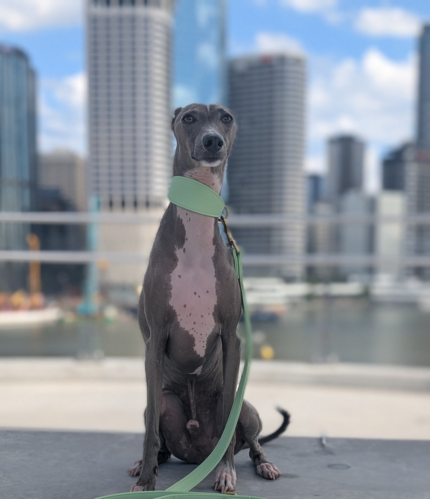 Leather Collar Fresh Mint